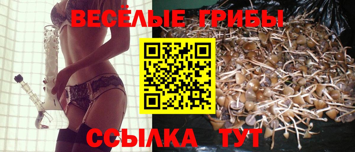 Новый Уренгой  Галлюциногенные грибы Psilocybe  дарнет шоп  Вход с VPN 
